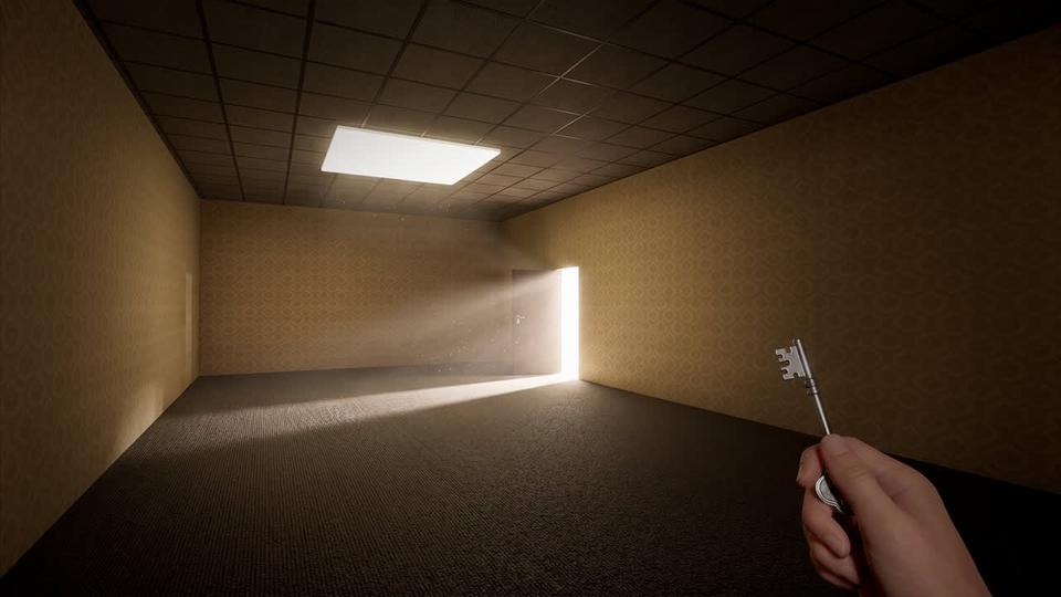 BACKROOMS PREMIUM EDITION screenshot 3